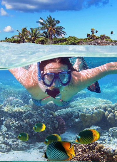 yacht charter guest snorkelling with five fish